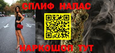 Альфа ПВП Будённовск