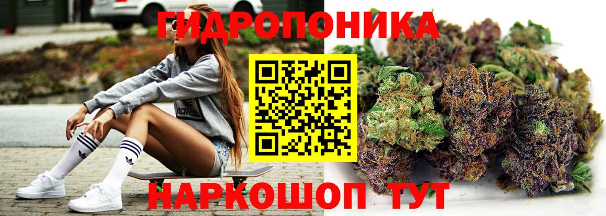 Канабис семена Майкоп